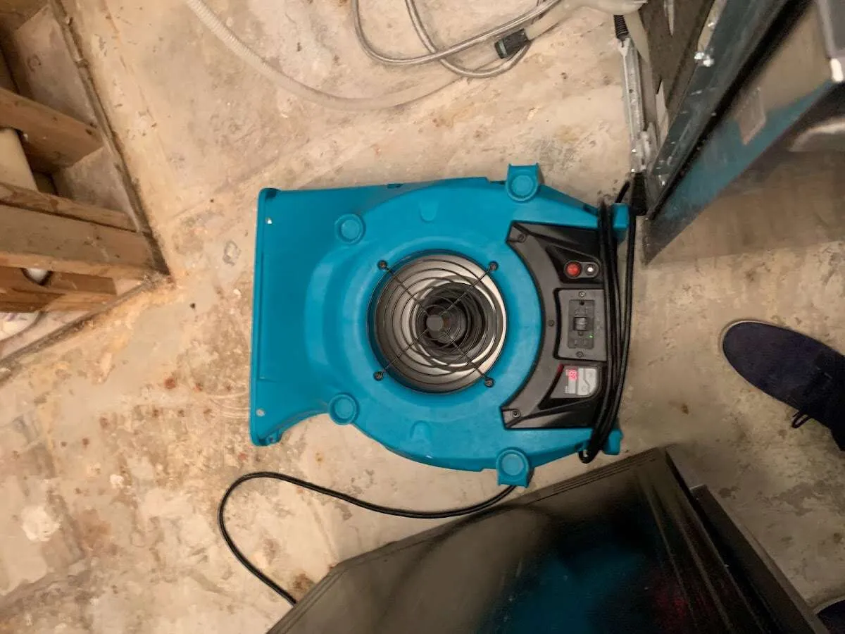 Air mover drying equipment for Mold Remediation & Removal in Southfield